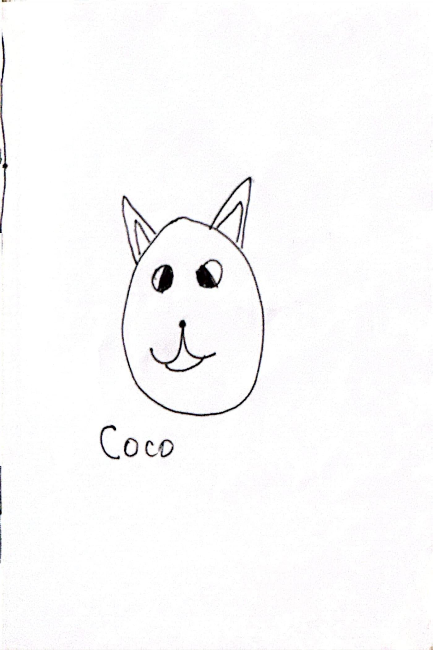 Merciha's illustration of Coco's face